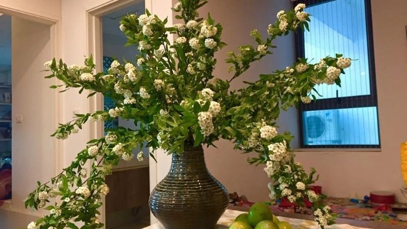 Hoa tiểu tú cầu để bàn phòng khách Hoa tiểu tú cầu để bàn phòng khách