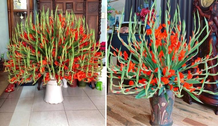 Những sai lầm khi cắm hoa lay ơn là chọn cành nở nhiều, không tạo trụ chính, cắm quá sát Những sai lầm khi cắm hoa lay ơn là chọn cành nở nhiều, không tạo trụ chính, cắm quá sát