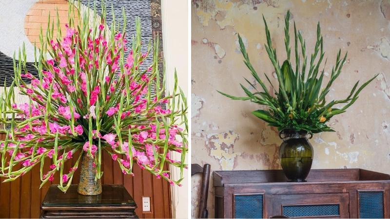 Bình hoa lay ơn kiểu “tay Phật” ngày Tết tượng trưng cho sự bảo hộ, bình an và may mắn Bình hoa lay ơn kiểu “tay Phật” ngày Tết tượng trưng cho sự bảo hộ, bình an và may mắn