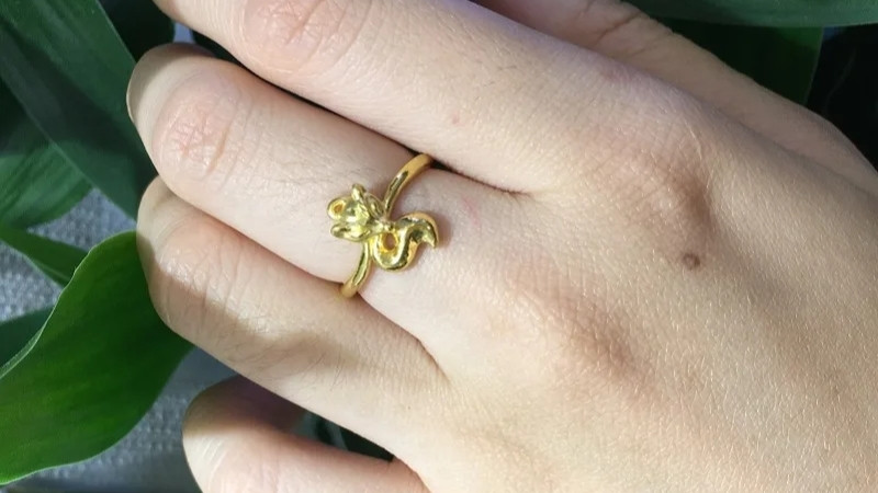 Hình ảnh đeo nhẫn hồ ly 2