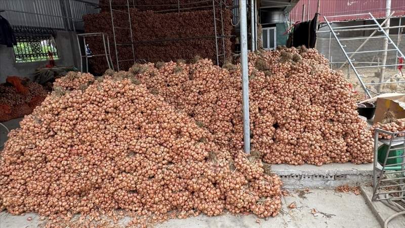 Dùng hành để tẩm ướp thực phẩm