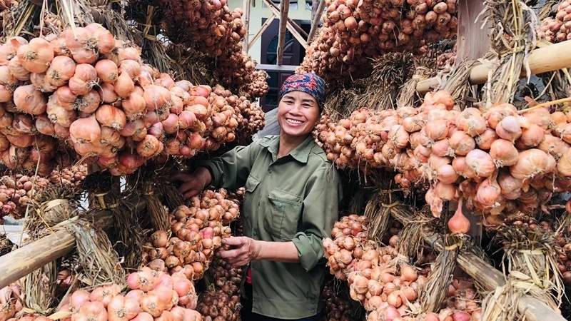 Hành giúp tăng cường hệ miễn dịch