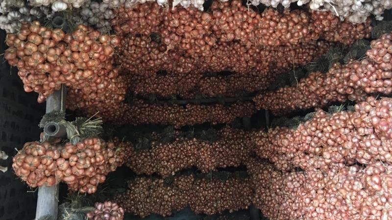 Treo hành ở nơi thoáng gió