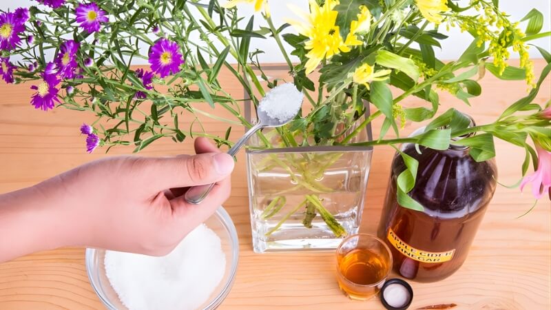 Đường trắng Đường trắng