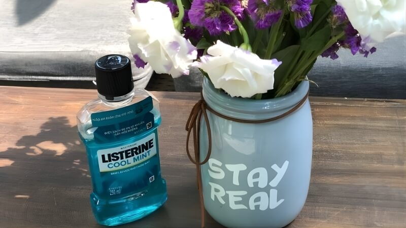 Nước súc miệng (Listerine) Nước súc miệng (Listerine)
