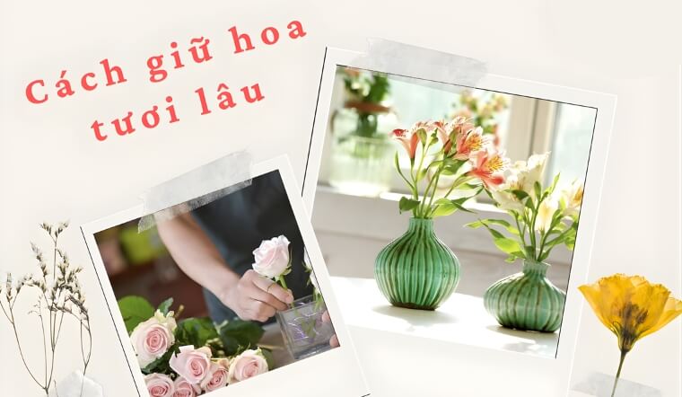 10+ cách giữ hoa tươi lâu, bền màu & không thối nước đơn giản nhất