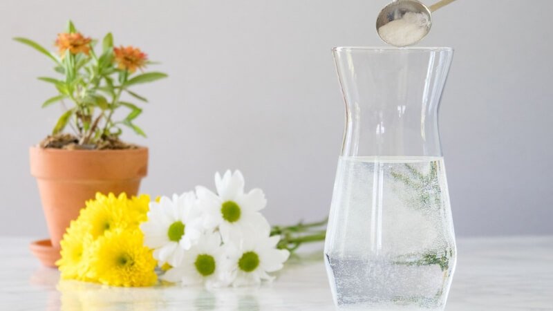 Cách "hồi sức cấp tốc" cho hoa đã bị héo rũ Cách "hồi sức cấp tốc" cho hoa đã bị héo rũ