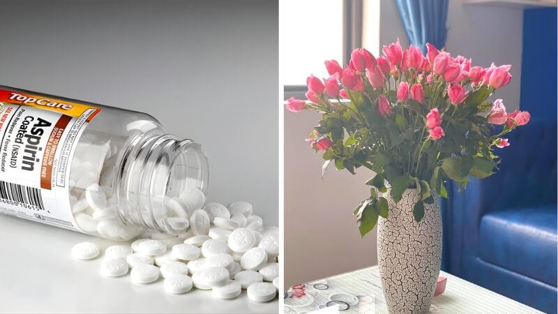 Vitamin B1 hoặc Aspirin Vitamin B1 hoặc Aspirin