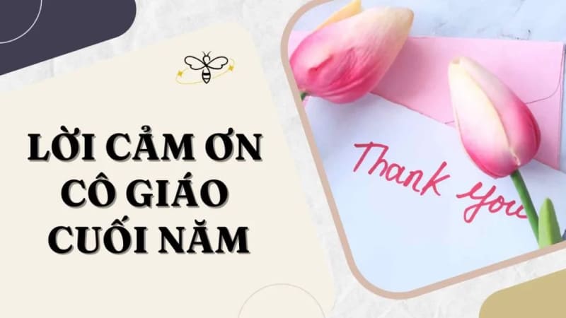 Lời cảm ơn cuối năm cho cô giáo
