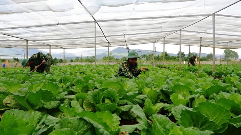 Chiến sĩ tích cực tăng gia sản xuất