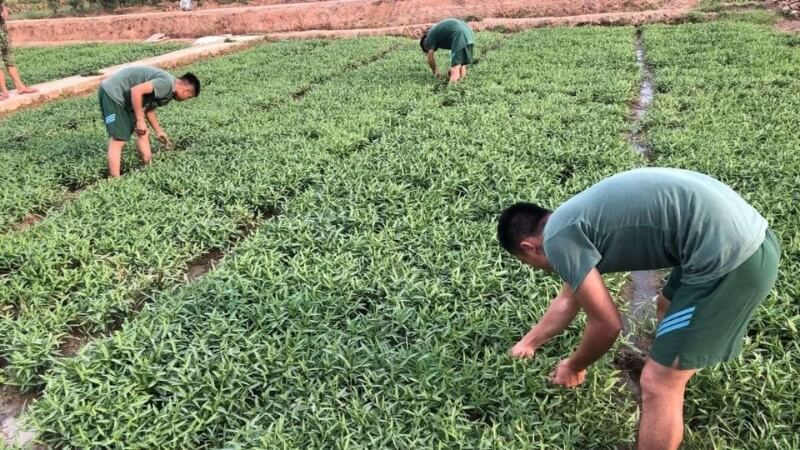 Người lính trong sinh hoạt đời thường, gần gũi và giản dị.