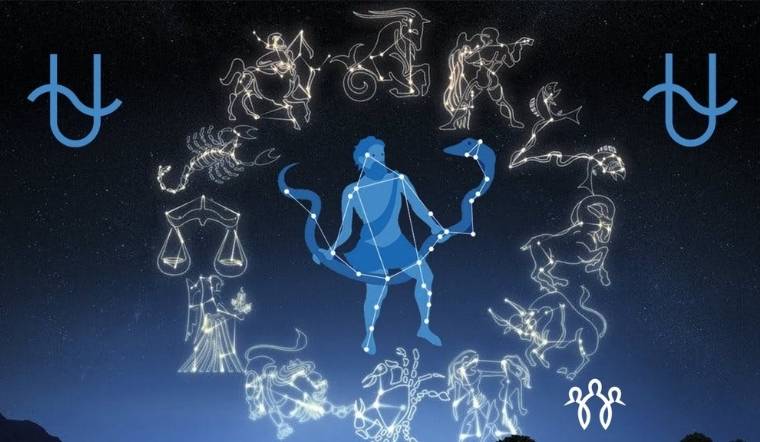 Cung xà phu là gì? Giải mã ý nghĩa trong tử vi