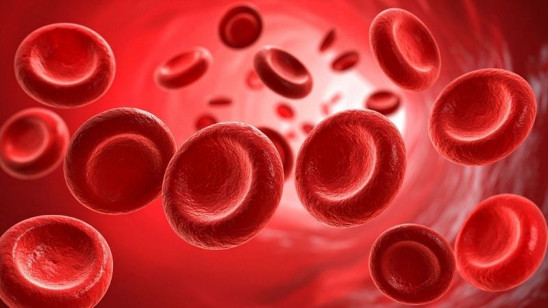 Hemoglobin chính là yếu tố tạo nên sắc độ đỏ, hồng hoặc xanh lam ẩn dưới da Hemoglobin chính là yếu tố tạo nên sắc độ đỏ, hồng hoặc xanh lam ẩn dưới da