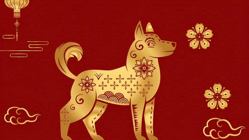 Tuổi Tuất: Vận trình tài lộc và tình duyên