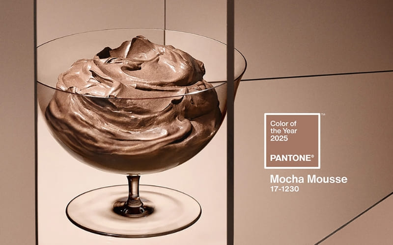 Gam nâu mocha mang lại cảm giác ấm áp, tinh tế