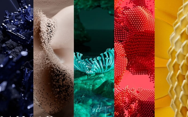 Xu hướng màu sắc Thu Đông 2025 mang sắc thái ấm