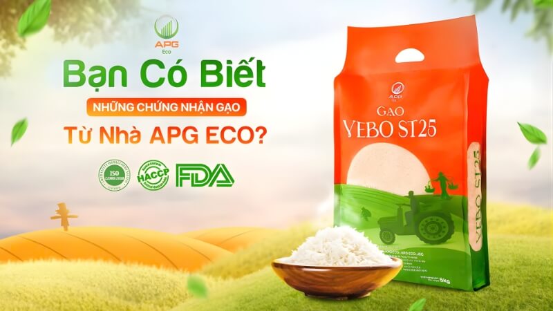 Cách nấu gạo Vebo ST25 ngon và dẻo
