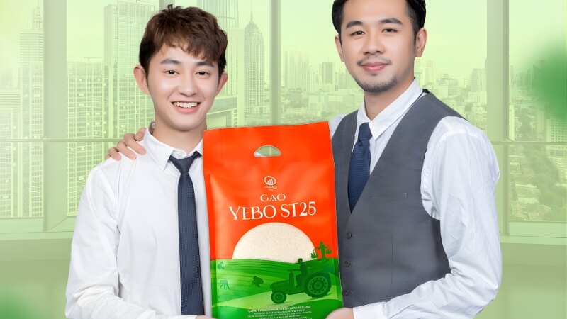 Gạo Vebo ST25 giá bao nhiêu? Mua ở đâu?