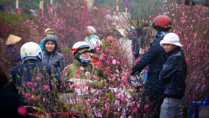 Thời tiết miền Bắc (Hà Nội, Sapa, Hạ Long)