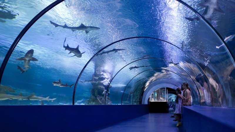 Thủy cung Osaka Kaiyukan