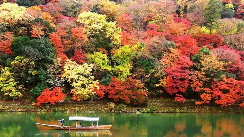 Mùa lá phong đỏ rực tại Osaka