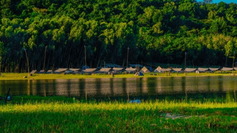 Bãi Cây Bàng Hồ Dầu tiếng