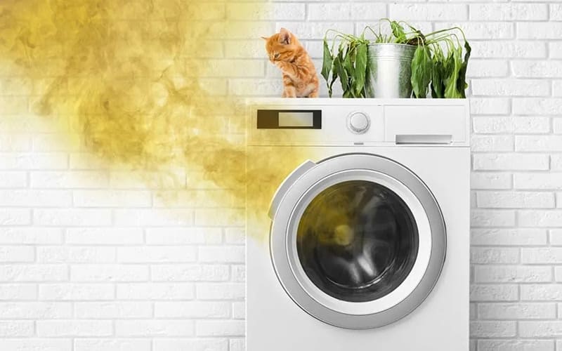 Vi khuẩn và nấm mốc tích tụ trong máy giặt Vi khuẩn và nấm mốc tích tụ trong máy giặt