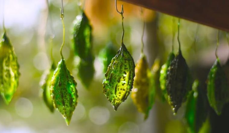 Hướng dẫn làm mứt khổ qua nguyên trái lạ miệng, đậm truyền thống