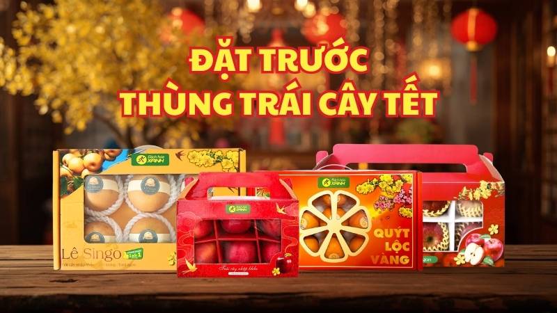 Đặt trước Thùng Trái Cây Tết 2026 giá sỉ tại Bách hóa XANH Đặt trước Thùng Trái Cây Tết 2026 giá sỉ tại Bách hóa XANH