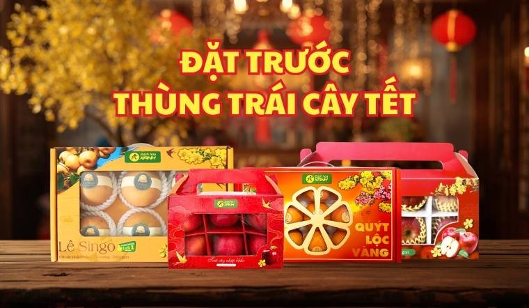 Đặt trước Thùng Trái Cây Tết 2026 giá sỉ tại Bách hóa XANH | Mua nhiều Lợi lớn