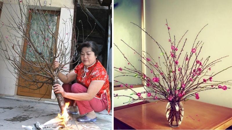 Thay nước sạch thường xuyên, đốt nhẹ gốc cành hoặc thêm vài viên Aspirin