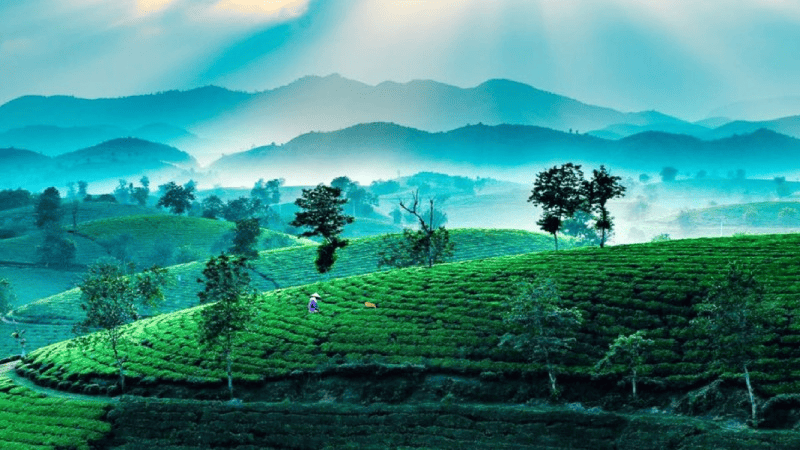 Ăn gì, ở đâu tại Lâm Thao? Ăn gì, ở đâu tại Lâm Thao?