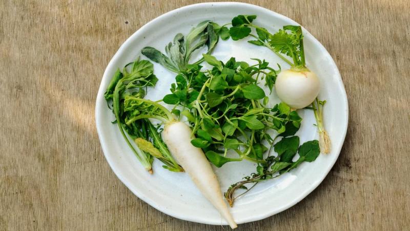 7 loại thảo mộc trong cháo thất thảo