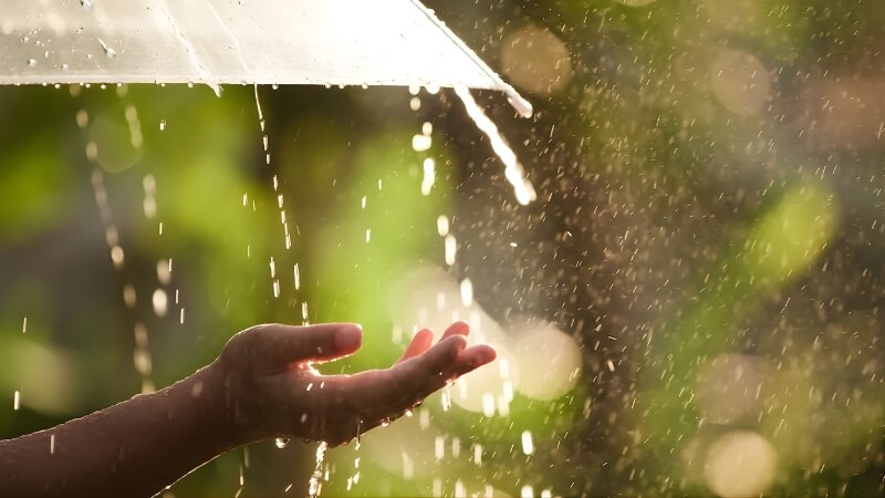 Đặc điểm thời tiết trong tiết Cốc Vũ 2026