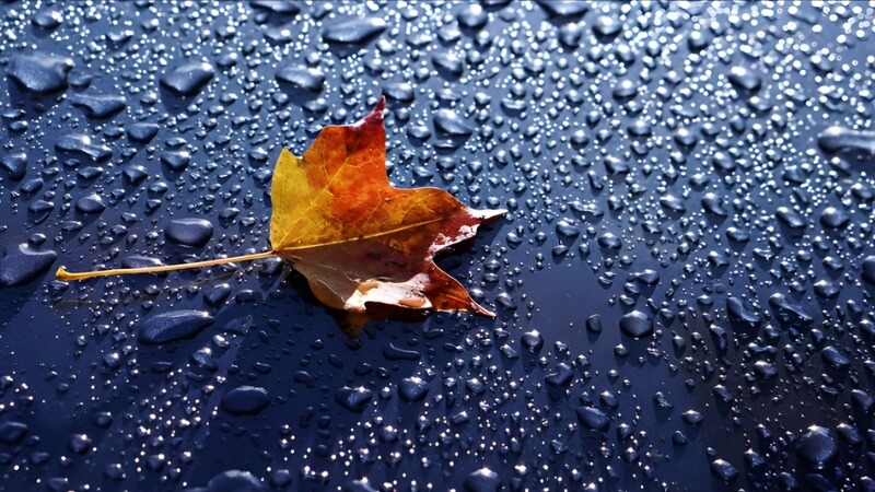 Câu hỏi thường gặp về Tiết Cốc Vũ 2026