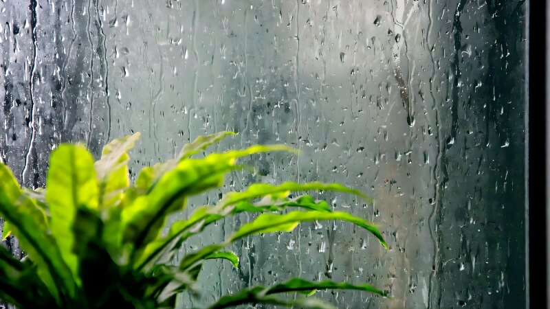 Ý nghĩa của tiết Cốc Vũ trong nông nghiệp