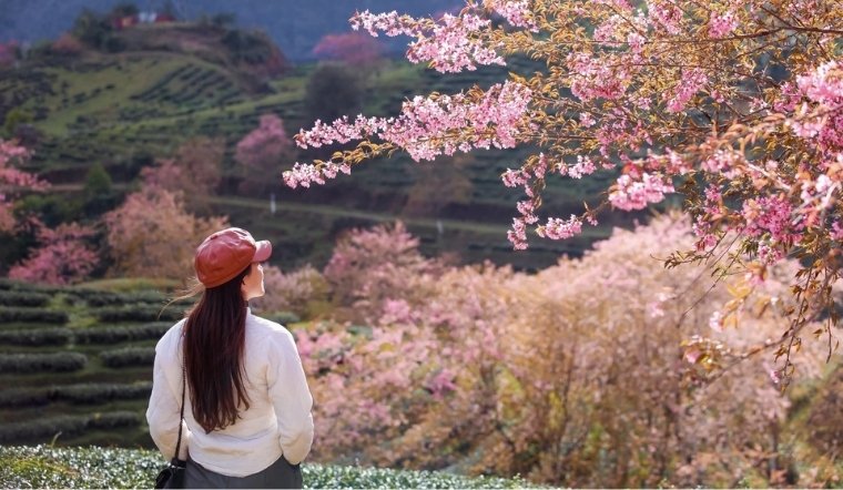 Top 15+ Địa điểm du lịch đầu năm ở miền Bắc đẹp & linh thiêng nhất