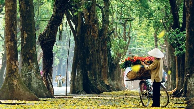 Tiết Lập Thu mang đến cảm giác nhẹ nhàng và thư thái