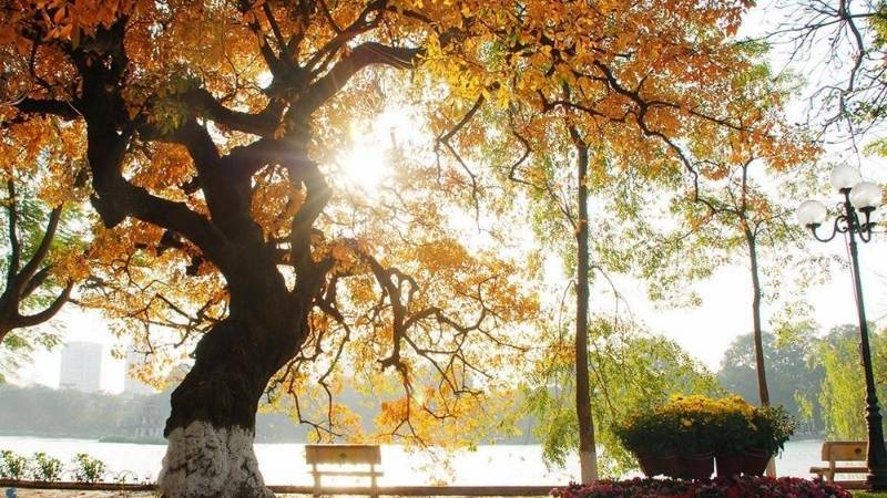 Tiết Lập Thu bắt đầu vào ngày 7 tháng 8 năm 2026