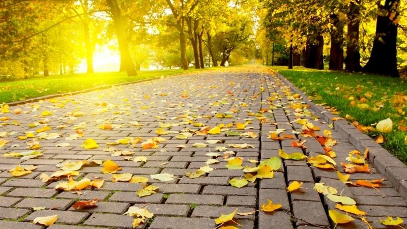 Tiết Lập Thu là tín hiệu để vạn vật thay đổi nhịp sinh học