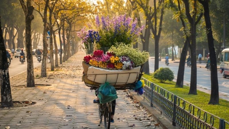 Gió heo may bắt đầu xuất hiện vào tiết Lập Thu