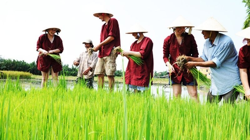 Ý nghĩa của tiết Xử Thử trong đời sống