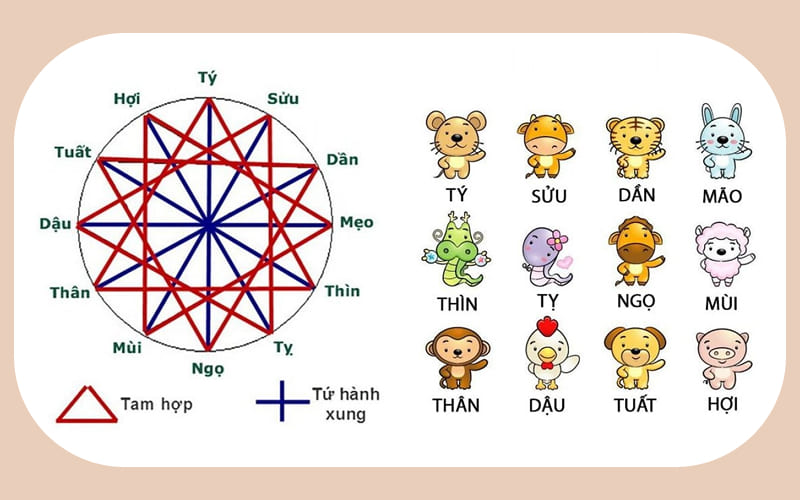 Các tuổi Tam Hợp, Lục Hợp với năm Bính Ngọ 2026