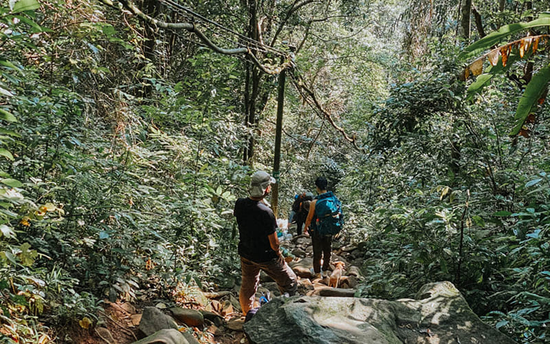 Cung đường Cột Điện (Phổ biến nhất)