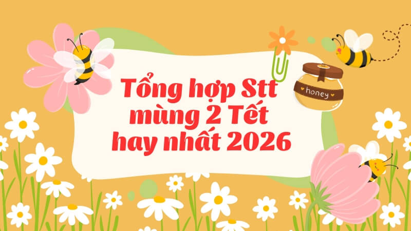 Tổng hợp Stt mùng 2 Tết hay nhất 2026 Tổng hợp Stt mùng 2 Tết hay nhất 2026
