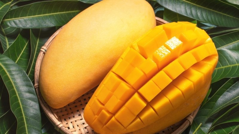 Xoài tượng trưng cho sự dư dả, cầu mong gia chủ tài chính thịnh vượng