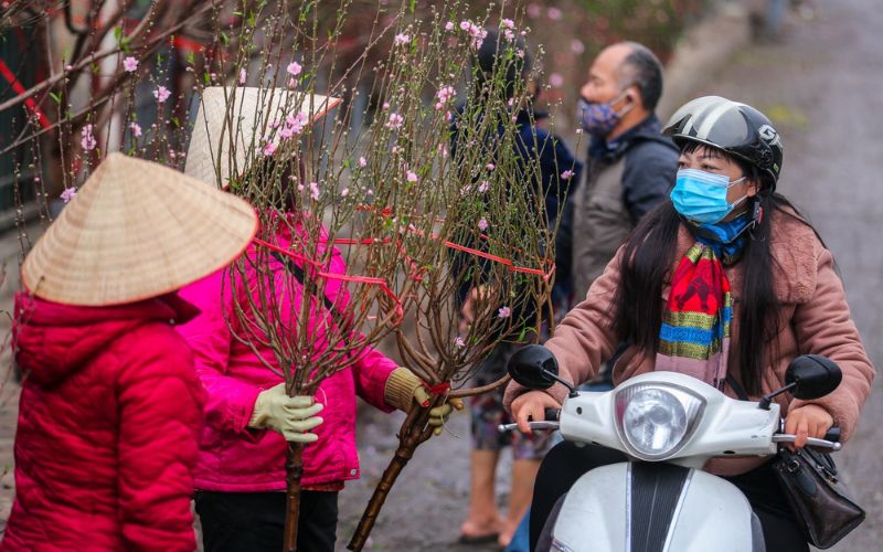 Miền Bắc rét đậm, ban ngày hanh khô, trời lạnh