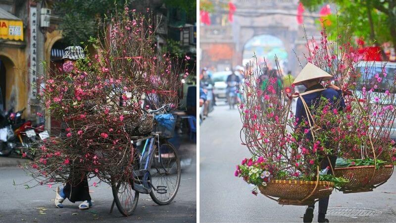 Ảnh chúc Tết Bính Ngọ 2026 phong cách truyền thống 8