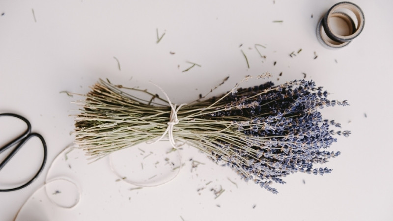 STT dành cho những điều dang dở STT dành cho những điều dang dở