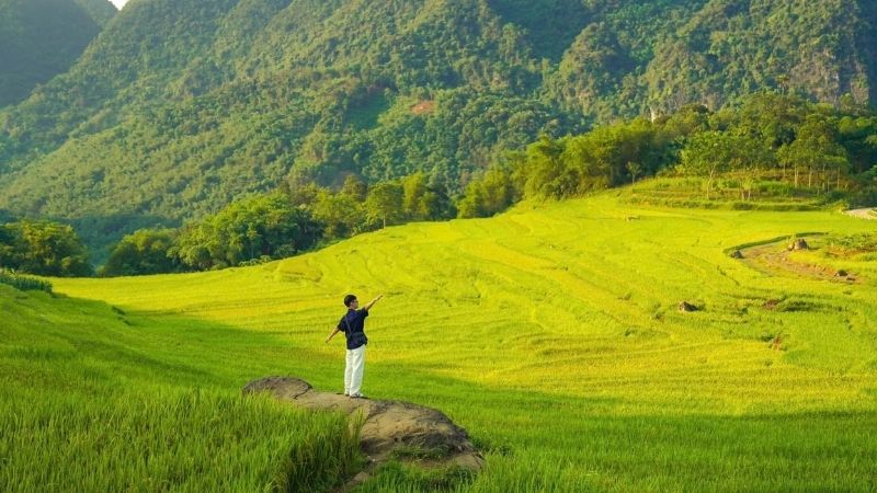 Quotes tiếng Anh sâu sắc về khởi đầu mới Quotes tiếng Anh sâu sắc về khởi đầu mới